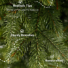 6.5' Cypress Spruce Artificial Christmas Tree with 1000 Warm White & Multi-Color LED Lights