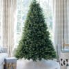 6.5' Royal Fir Artificial Christmas Tree with 850 Warm White & Multi-Color LED Lights