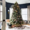 9' King Fraser Fir Artificial Christmas Tree Unlit