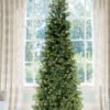 12' King Douglas Fir Slim Artificial Christmas Tree with Warm White & Multi-Color LED Lights