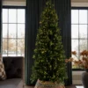 9' King Fraser Fir Slim Artificial Christmas Tree with 900 Warm White & Multi-Color LED Lights