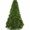 12' Royal Fir Artificial Christmas Tree with 2000 Warm White & Multi-Color LED Lights