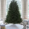 7.5' Aspen Fir Artificial Christmas Tree Unlit