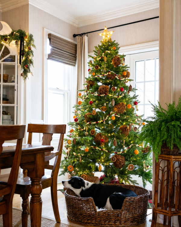 7.5' Scarlet Fir Artificial Christmas Tree Unlit